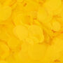 Yellow Wedding Confetti | Biodegradable Paper Confetti, thumbnail 2 of 6