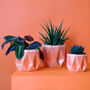 Origami Self Watering Eco Plant Pot: 18cm | Coral, thumbnail 2 of 5