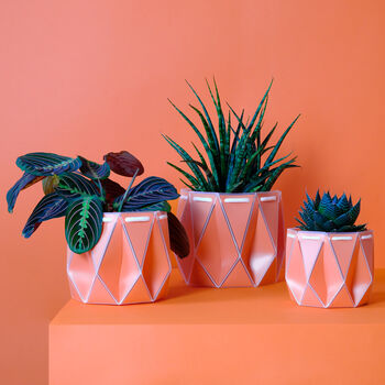 Origami Self Watering Eco Plant Pot: 18cm | Coral, 2 of 5
