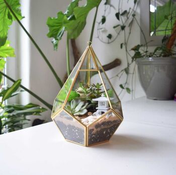 Gold Geometric Terrarium Kit With Succulent Or Cactus Christmas Gift For Plant Lover, 2 of 11