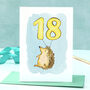 Hedgehog 18th Birthday Card, thumbnail 1 of 8