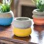 Set Of Three Colour Dipped Cement Planters, thumbnail 3 of 4