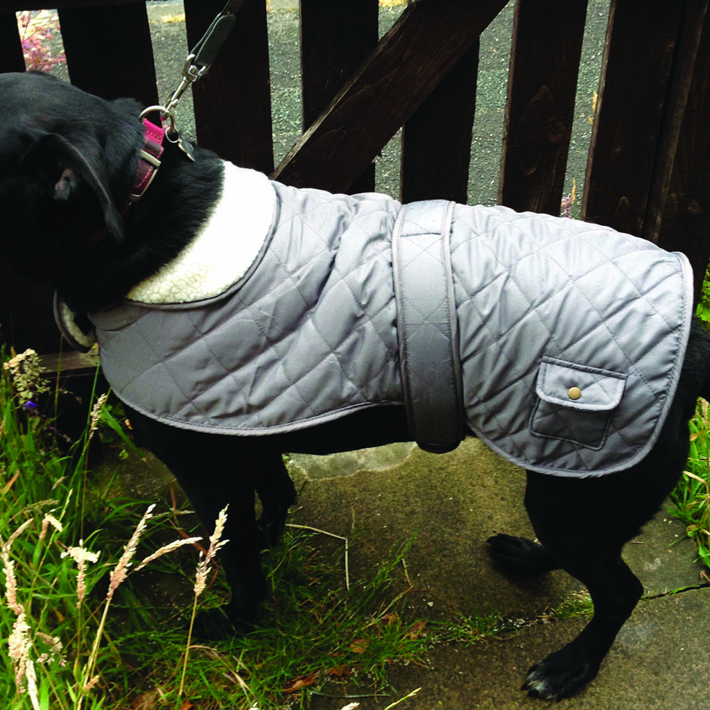 Luxury Grey All Weather Quilted Dog Coat By Dibor