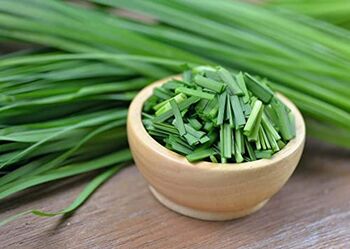 Herb Plants Garlic Chives In 9cm Pots, 5 of 6