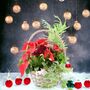 Large Christmas Indoor Planted Basket, thumbnail 1 of 3