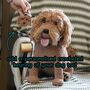 Personalised Crocheted Cuddly Toy Of Your Dog, thumbnail 7 of 12