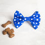 Blue Or Turquoise Dog Bow/ Bow Tie For Dogs, thumbnail 3 of 4