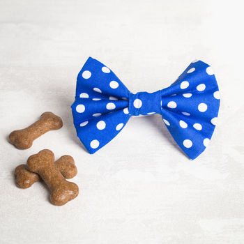 Blue Or Turquoise Dog Bow/ Bow Tie For Dogs, 3 of 4