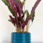 Bubble Plant Pot – Colourful Plant Based Planter, thumbnail 5 of 5