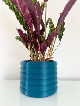 Bubble Plant Pot – Colourful Plant Based Planter, 5 of 5