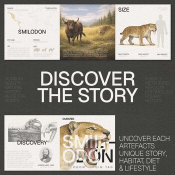 Xl Hand Painted Smilodon Saber Tooth Cat Skull Dinosaur Sculpture 3D Resin Fossil Model On Black Metal Stand, Statement Home Decor, 4 of 4