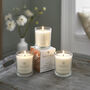 Luxury Candles Set Of Three Goji And Tarocco Orange 72000703, thumbnail 1 of 2