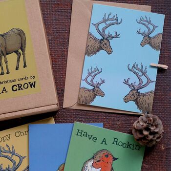 Christmas Card Pack Mixed Robin And Reindeer Designs, 2 of 8