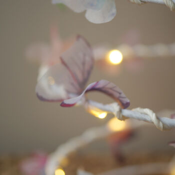 Butterfly Spiral Light Nature Inspired Lighting, 6 of 10