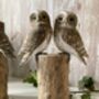 Pair Hand Painted Lovers Friends Wooden Owls Balinese Craft Ornament Figurine Gift, thumbnail 6 of 9