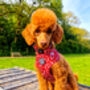 Poppy Toadstool Polkas Dog Collar, thumbnail 4 of 9