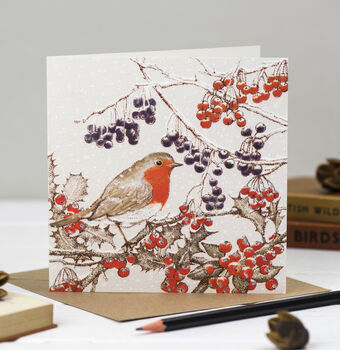 'Jolly Robins' Mixed Pack Of 10 Christmas Cards, 6 of 10