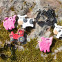 Farmyard Biscuits Baking Kit, thumbnail 1 of 4