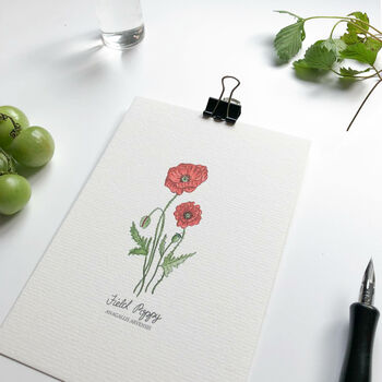‘Field Poppy’ Wildflower Notecard/Greeting Card, 2 of 2
