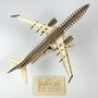 Boeing 737 800 Model Plane Personalised Wooden Kit, thumbnail 7 of 11