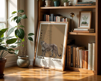 Puma | Big Cat Art Print, 8 of 9