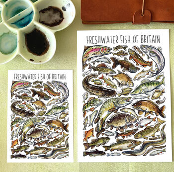Freshwater Fish Of Britain Watercolour Postcard, 2 of 4