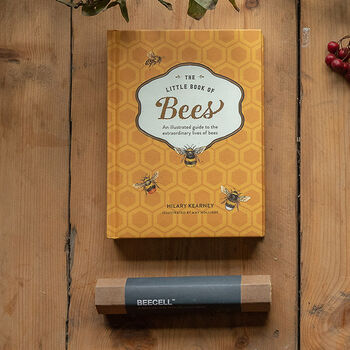 Bee Cells And Bee Book Gift Bundle, 3 of 8