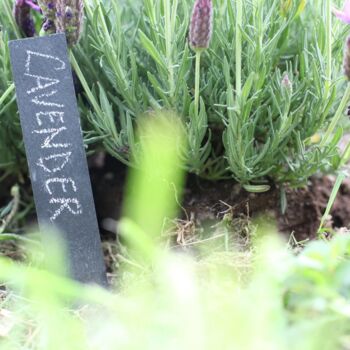 Vegetable Seeds And Slate Markers Gift Set, 7 of 7