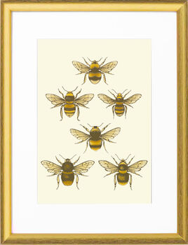 'British Bees' Fine Art Print Colour, 7 of 8