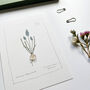 Spring Bulb Botanical Postcard Set, thumbnail 2 of 10
