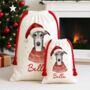 Greyhound Santa Sack, thumbnail 2 of 3
