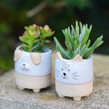 Dog And Cat Animal Planters With Choice Of Plants, 2 of 2