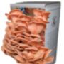 Ready To Grow Oyster Mushroom Growing Kit, thumbnail 2 of 9