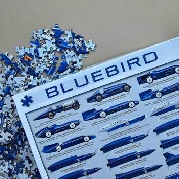 Bluebird 1000 Piece Jigsaw, 5 of 5