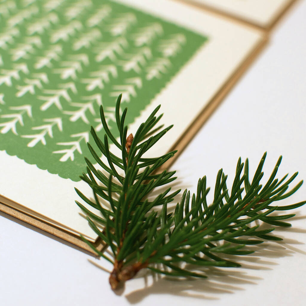 Eco Friendly Christmas Card Pack By Alexandra Snowdon