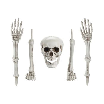 Skeleton Decoration Set, 2 of 5