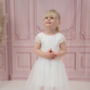 Champagne Soft Lace And Tulle Flower Girl Dress, thumbnail 4 of 4