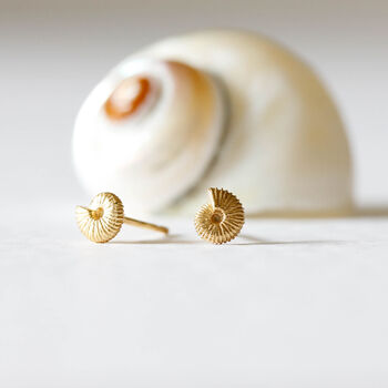 Ammonite Earrings, 2 of 6