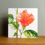 Hibiscus Greetings Card, thumbnail 4 of 4