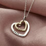 Personalised Silver And 9ct Gold Family Heart Necklace, thumbnail 1 of 10