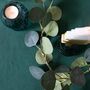 Eucalyptus String Lights, thumbnail 2 of 4