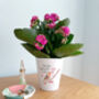Robin Memorial Plant Pot. Personalised Flowerpot, thumbnail 5 of 5