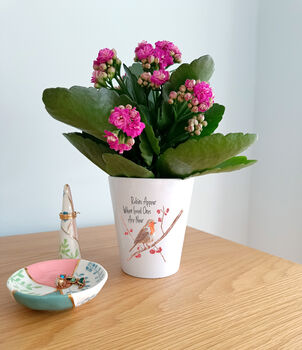 Robin Memorial Plant Pot. Personalised Flowerpot, 5 of 5