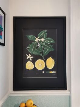 'Citrus Limon' Original Signed Spraypaint, 10 of 12