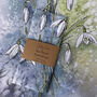Snowdrop Watercolour Cotton Tea Towel, thumbnail 1 of 2