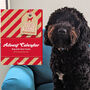 Christmas Advent Calendar For Dogs, thumbnail 1 of 3