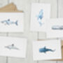 Sea Creature Note Card Pack, thumbnail 1 of 7
