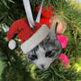 Personalised Pet Christmas Tree Decoration, thumbnail 6 of 10