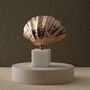 Handmade Bronze Shell Sculpture On Marble Base, thumbnail 1 of 2