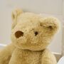 Personalised Classic Teddy Bear Plush Toy, thumbnail 4 of 5